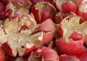 Reagent made from pomegranate peels is successfully used in drilling oil wells